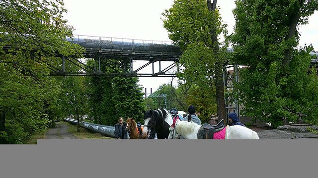 Зоопарк Калининграда
